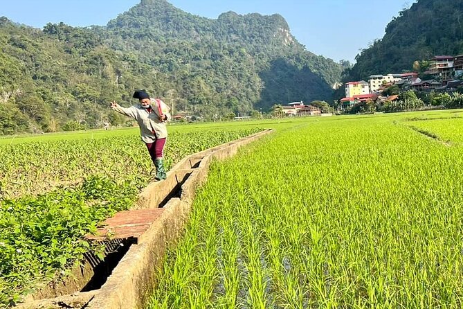 2-Day Ba Be Lake With Boat Trip, Swimming, Kayaking And Cycling - Reviewing the Experience: Authenticity and Value