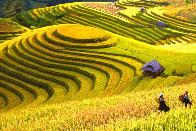 Mai Chau Hidden Treasures with Cycling Culture and Cave Wonders - An In-Depth Look at the Itinerary  