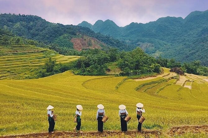 Mai Chau Hidden Treasures with Cycling Culture and Cave Wonders - Trekking and the Chieu Cave Excursion