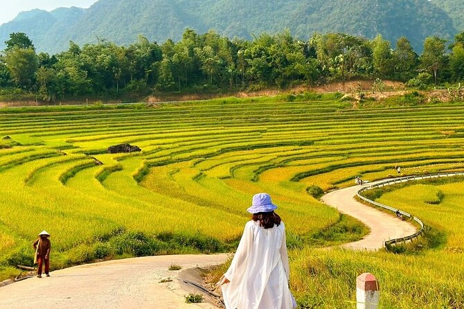 2 Day 1 Night Tour to Pu Luong Nature Reserve - Who Should Consider This Tour?