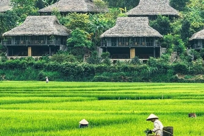 From Hanoi: Discover the Tranquil Beauty of Mai Chau by Bicycle - Who Will Appreciate This Tour?