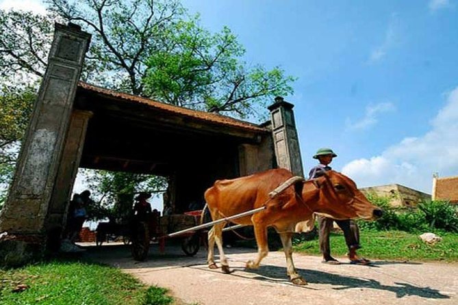 Hanoi: Duong Lam Historical Village Private Day Tour - The Food Experience: A Highlight