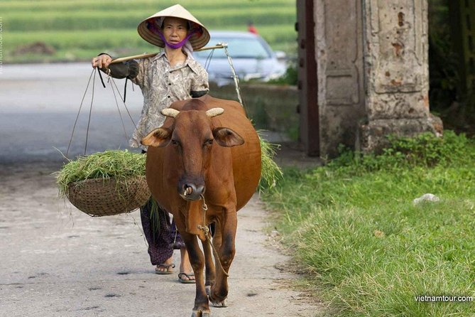 Hanoi: Duong Lam Historical Village Private Day Tour - The Sum Up