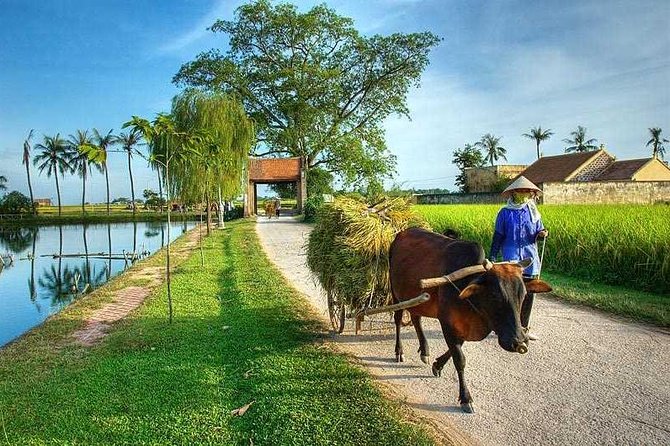 Hanoi: Duong Lam Historical Village Private Day Tour - Key Points