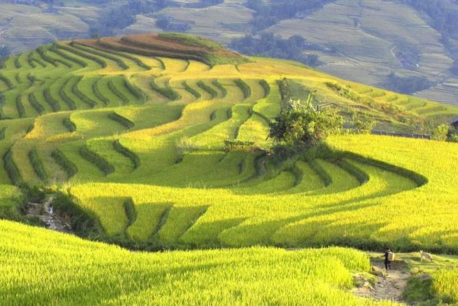 3-Night Sapa Trek and Homestay with Round Trip Transfer from Hanoi - Key Points