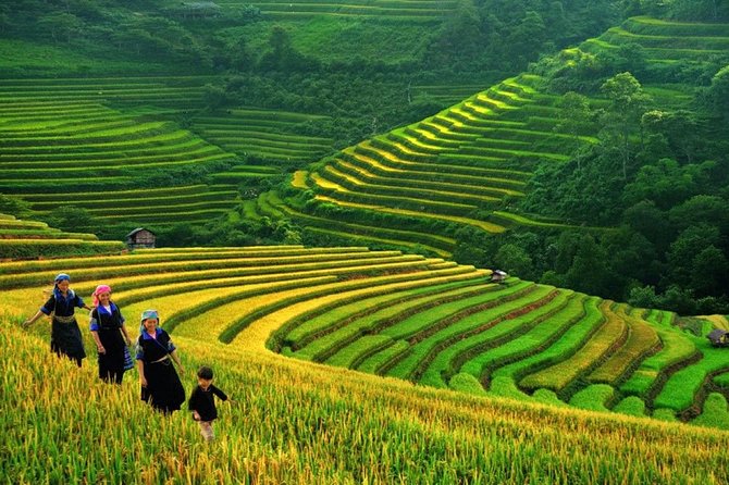 3-Night Sapa Trek and Homestay with Round Trip Transfer from Hanoi - What We Love About This Tour