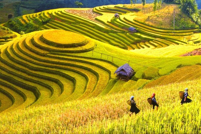 3-Night Sapa Trek and Homestay with Round Trip Transfer from Hanoi - The Itinerary: A Closer Look
