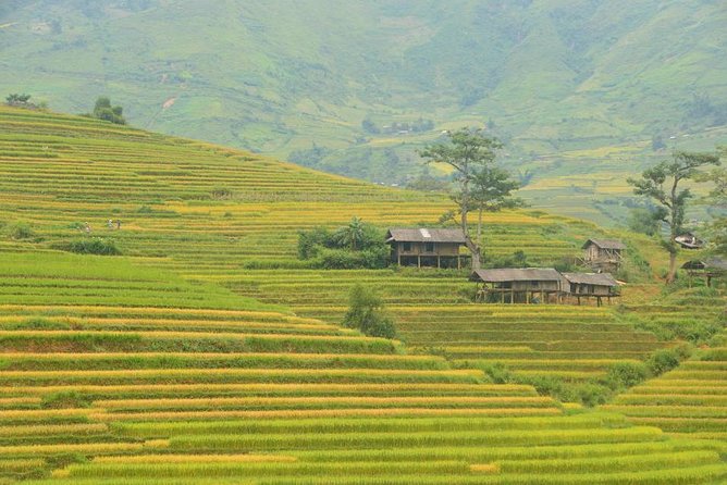 3-Night Sapa Trek and Homestay with Round Trip Transfer from Hanoi - Who Should Consider This Tour?
