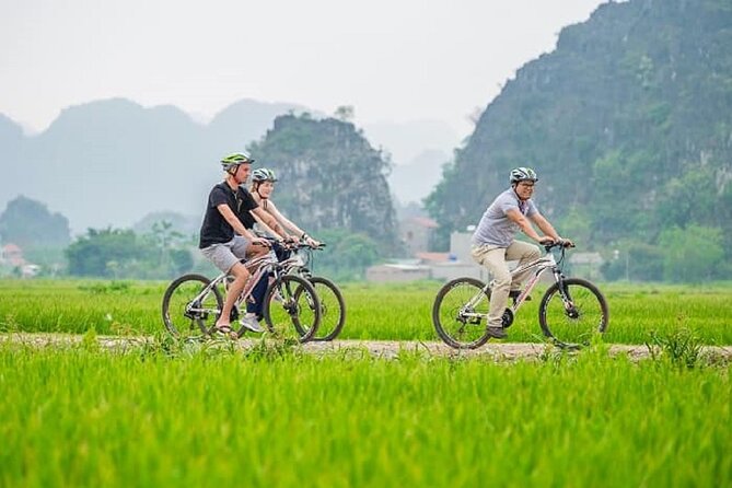 2-Day Hanoi - Ninh Binh - Ha Long Bay With Transfer - A Deep Dive into the 2-Day Hanoi - Ninh Binh - Ha Long Bay Experience