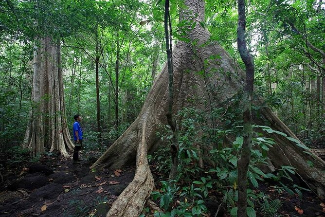 2 Days Tour in Cat Tien National Park - Exploring the 2-Day Itinerary in Detail
