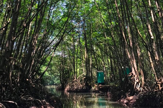 Private Tour Can Gio Mangrove Biosphere - An In-Depth Look at the Tour Experience