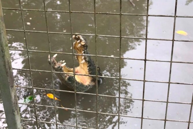 Private Tour Can Gio Mangrove Biosphere - The Sum Up