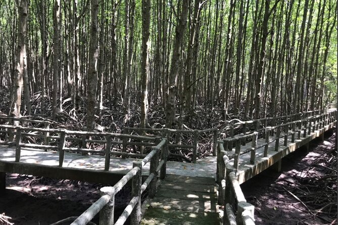 Private Tour Can Gio Mangrove Biosphere - FAQ