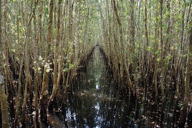 Discover Tan Lap Floating Village from Ho Chi Minh city - An In-Depth Look at the Tour Experience