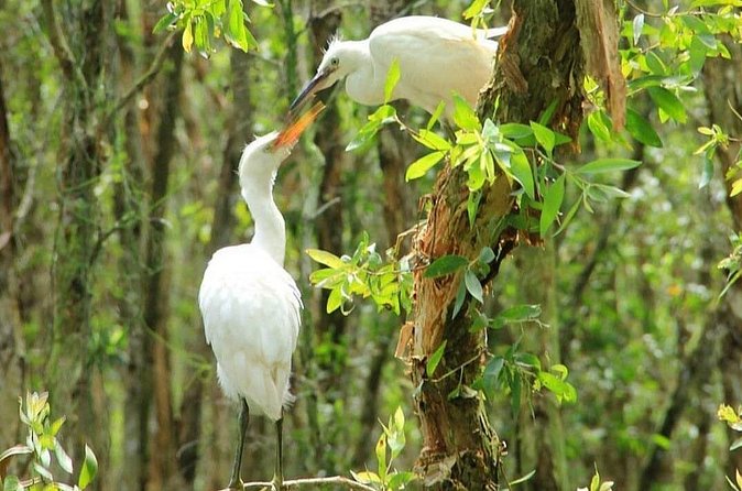 Discover Tan Lap Floating Village from Ho Chi Minh city - Final Thoughts