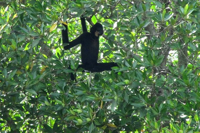 Exclusive Vam Sat Nature and Wildlife Exploration - Scenic Viewpoints and Final Stops