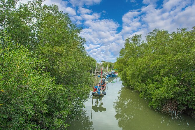 Can Gio Mangrove Forest 1 day tour - The Experience in Detail