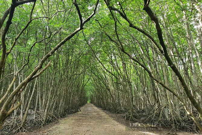 Can Gio Mangrove Forest 1 day tour - Who Should Consider This Tour?