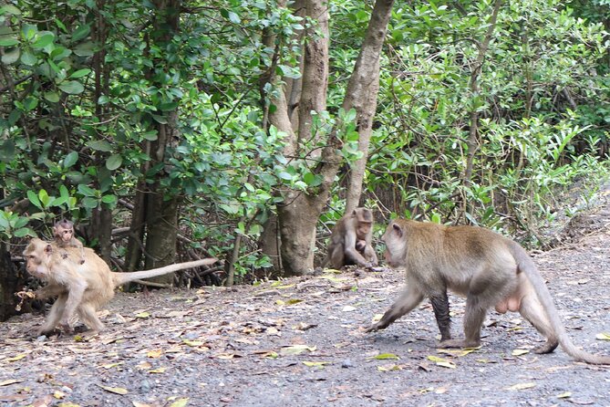 Can Gio Wildlife & Culture Experience  Scenic Boat Tour - Who Is This Tour Best For?