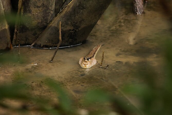 Can Gio Wildlife & Culture Experience  Scenic Boat Tour - FAQ