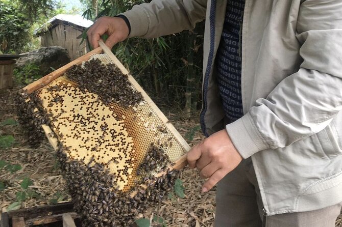 Tam Hiep Island Expedition: Unveiling the Mekong Delta's Treasure - Who Is This Tour Best For?