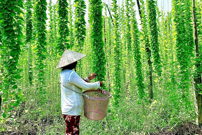 Tam Hiep Island Expedition: Unveiling the Mekong Delta's Treasure - Good To Know