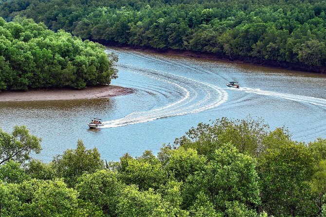 Full-Day Can Gio Mangrove Private Guided Forest Exploration - Key Points