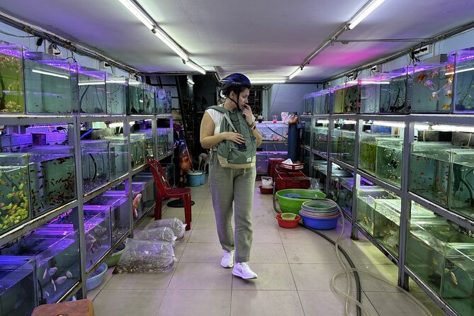 Motorbike Tour Saigon Hidden Gems and Food Tasting - Why This Tour Works Well