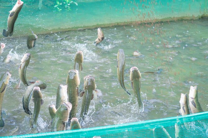 Discovering the Waterways of My Tho Can Tho Chau Doc - An In-Depth Look at the Itinerary