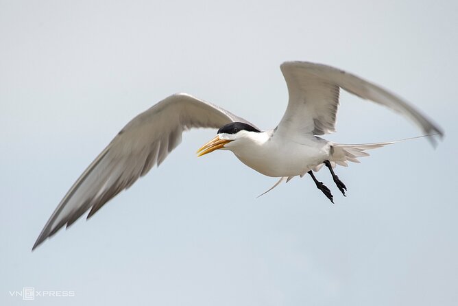 Ho Chi Minh to Vam Sat  Private Eco-Adventure - Practical Tips for Your Trip