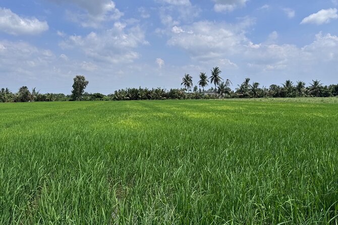 Cu Chi Tunnels & Mekong Eco Tour: Non-Touristy and Small Group - Key Points