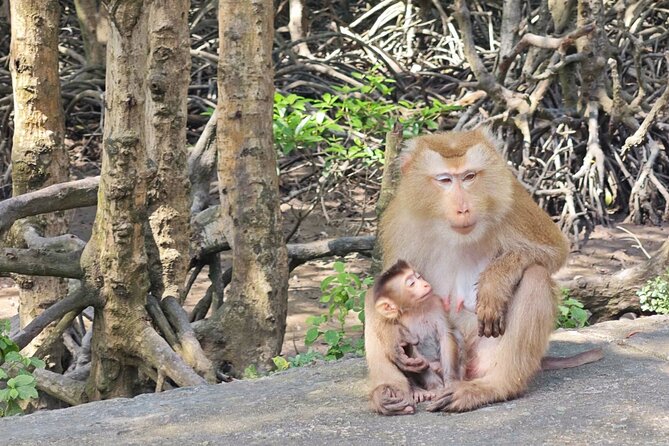 Can Gio Mangrove Biosphere Reserve Canoe & Wildlife Tour - Return Journey: Logistics and Timing