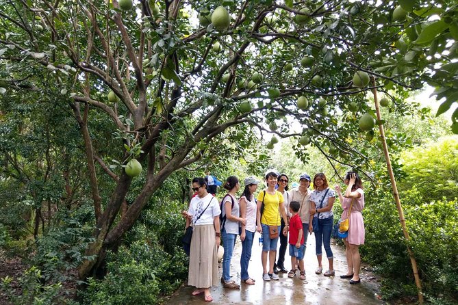 Full-day Mekong Delta and My Tho tour from Ho Chi Minh City - Key Points