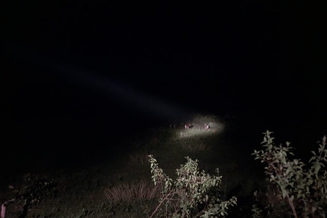 Nam Cat Tien National Park 2-Day Tour with Lodging, Meals.. - FAQs