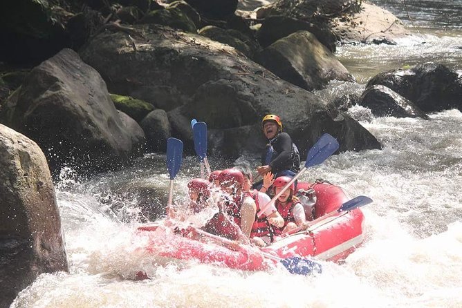 Rafting Adventure Tour Bali - Exploring Bali’s Rainforest via Rafting: What to Expect