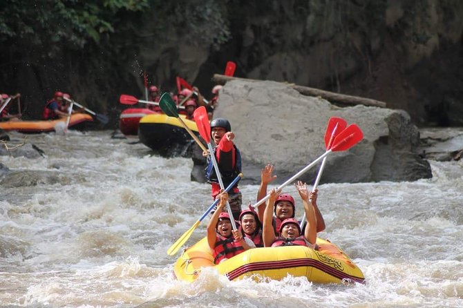 Rafting Adventure Tour Bali - Who Should Consider This Tour?