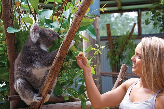 Private Guided Tour: Blue Mountains Tour from Sydney - What This Tour Means for You