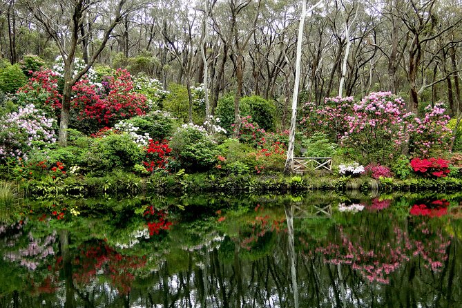 Sydney City and Blue Mountains in One Day Private Tour - Practical Details & Tips
