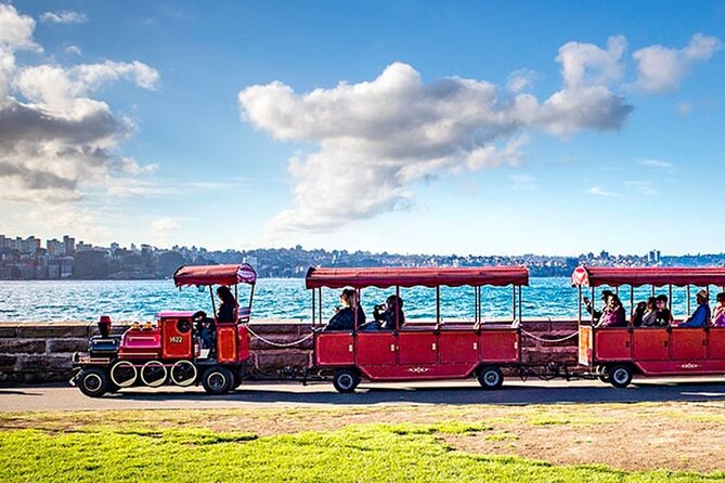 Explore Sydney's Botanic Gardens In a Series of Fun Cryptic Clues - Exploring Sydney’s Botanic Gardens Through a Fun Cryptic Clue Adventure