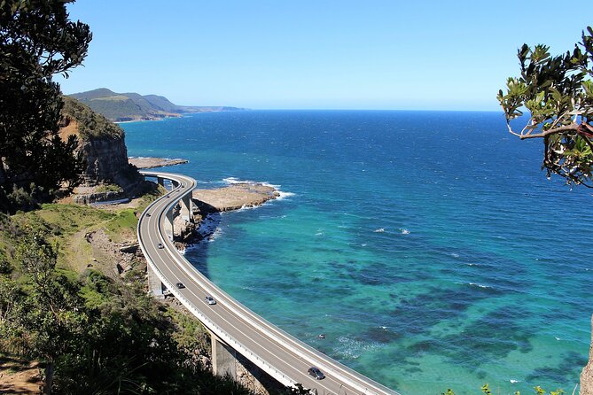 Kiama Blowholes, Sea Cliff Bridge and Royal National Park tour - A Complete Breakdown of the Tour Experience