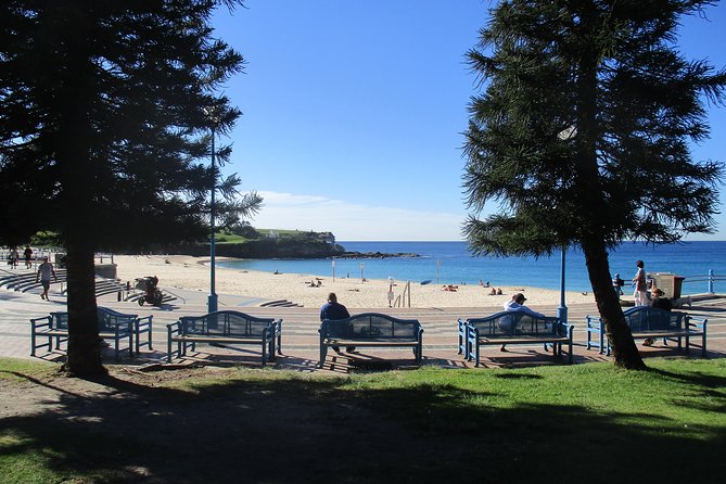 Private Coogee to Bondi Walk from your city hotel - Key Points