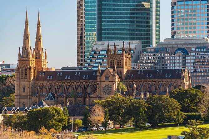 Discover Sydney - Botanic - Final Thoughts: Who Should Choose This Experience?