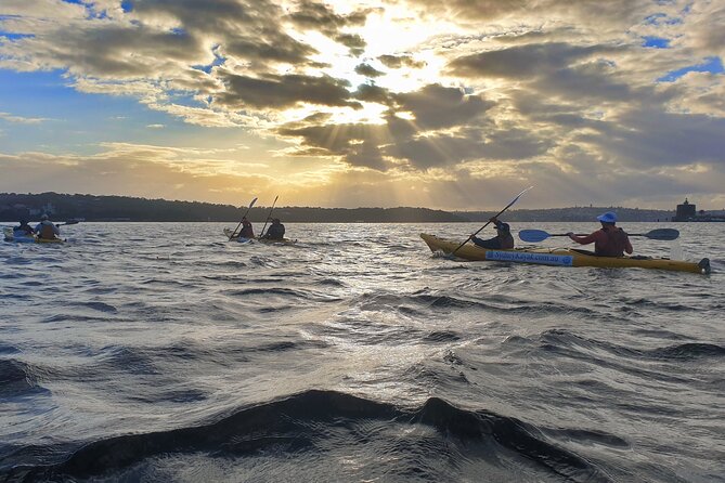 Harbour Bridge Breakfast Paddle - The Value of the Experience