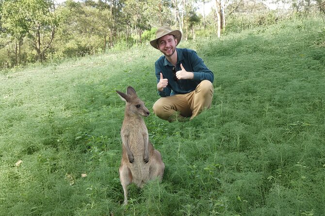 Private tours: Sydney, surrounds, and Blue Mountains. - The Sum Up