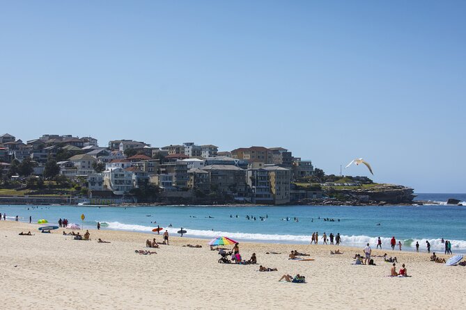 First Timer Sydney Sightseeing & Bondi Beach 1/2 Day Tour - FAQ