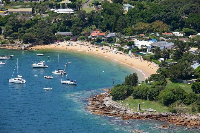 Half-Day or Full-Day Private Guide Hire From Sydney - Why Travelers Rate This Tour So Highly