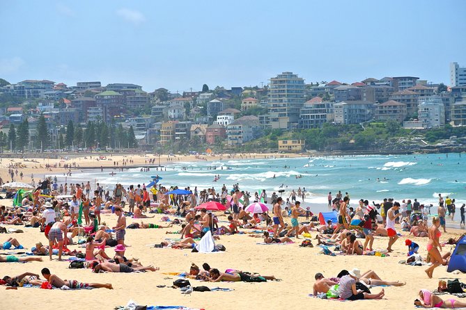 Half-Day or Full-Day Private Guide Hire From Sydney - Key Points