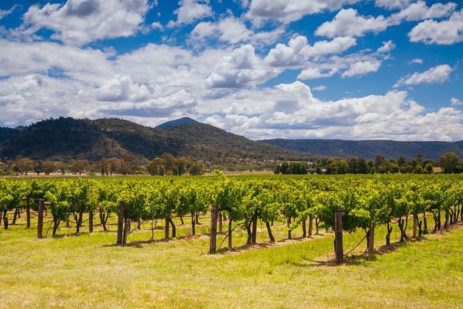 Private Luxury Hunter Valley Tour - up to 7 guests - FAQ