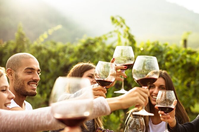 Private Luxury Hunter Valley Tour - up to 7 guests - Analyzing the Value