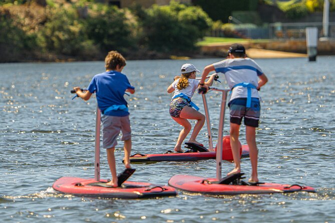 Guided Step-Up Paddle Board Tour of Narrabeen Lagoon - Exploring Narrabeen Lagoon: What to Expect